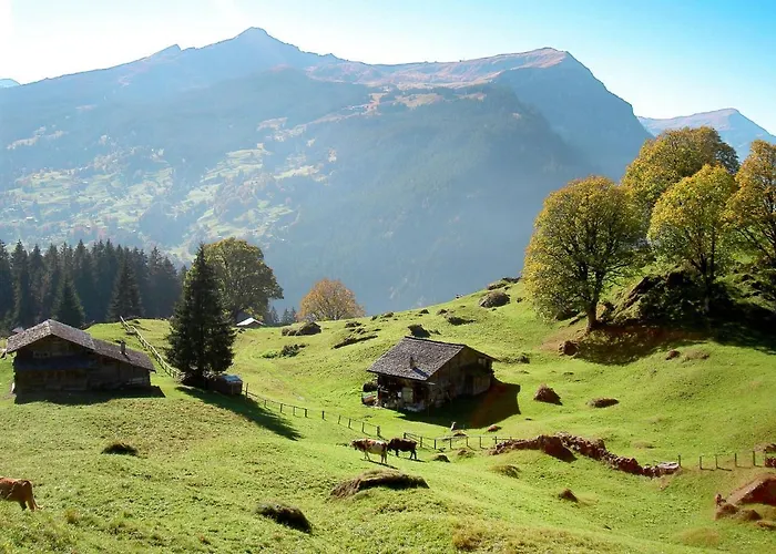 Abendrot Apartments-8 By Interhome Appartement *